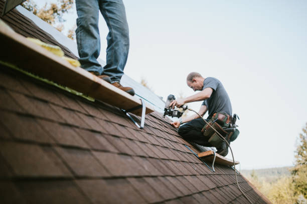 Best Metal Roofing Contractor  in Rendon, TX